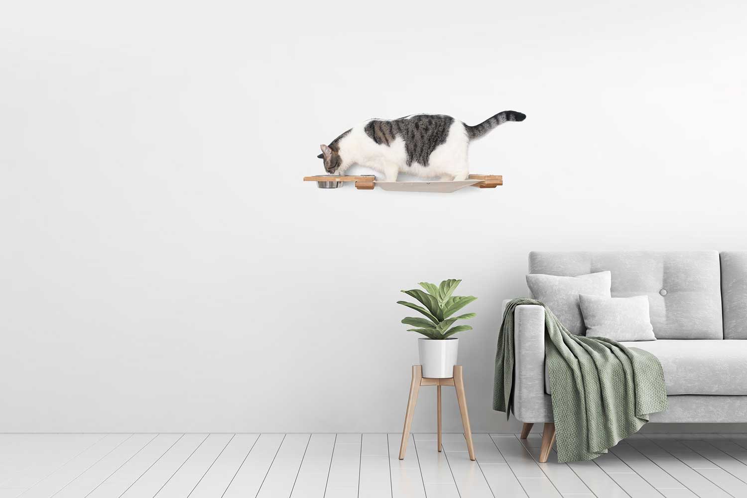 Dog Proof Cat Feeder - Wall-Mounted - Raised Cat Hammock Catastrophic Creations