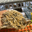 Jumbo Italian Quail Hatching Eggs Buddys Hatchery