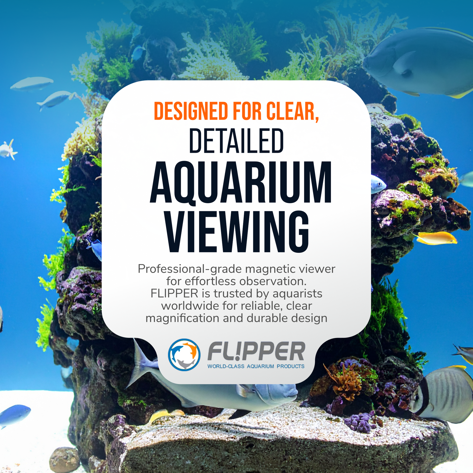 DeepSee Viewer Black Max 5" Aquarium Viewer Flipper Aquarium Products