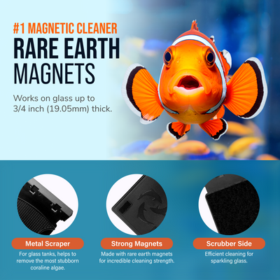 Flipper MAX FLOAT 2 in 1 Magnetic Aquarium Algae Cleaner Scrubber Flipper Aquarium Products