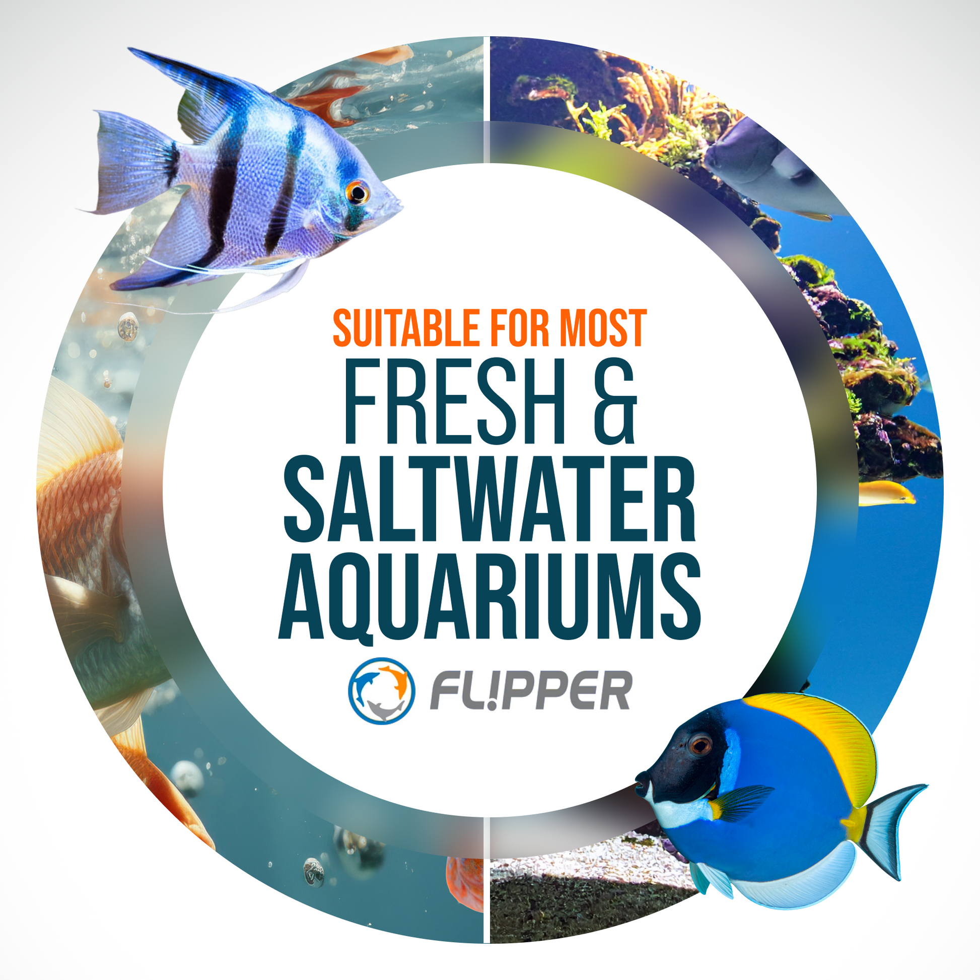Flipper Platinum NANO Aquarium Algae Scraper 12" Hand Held Scraper Flipper Aquarium Products