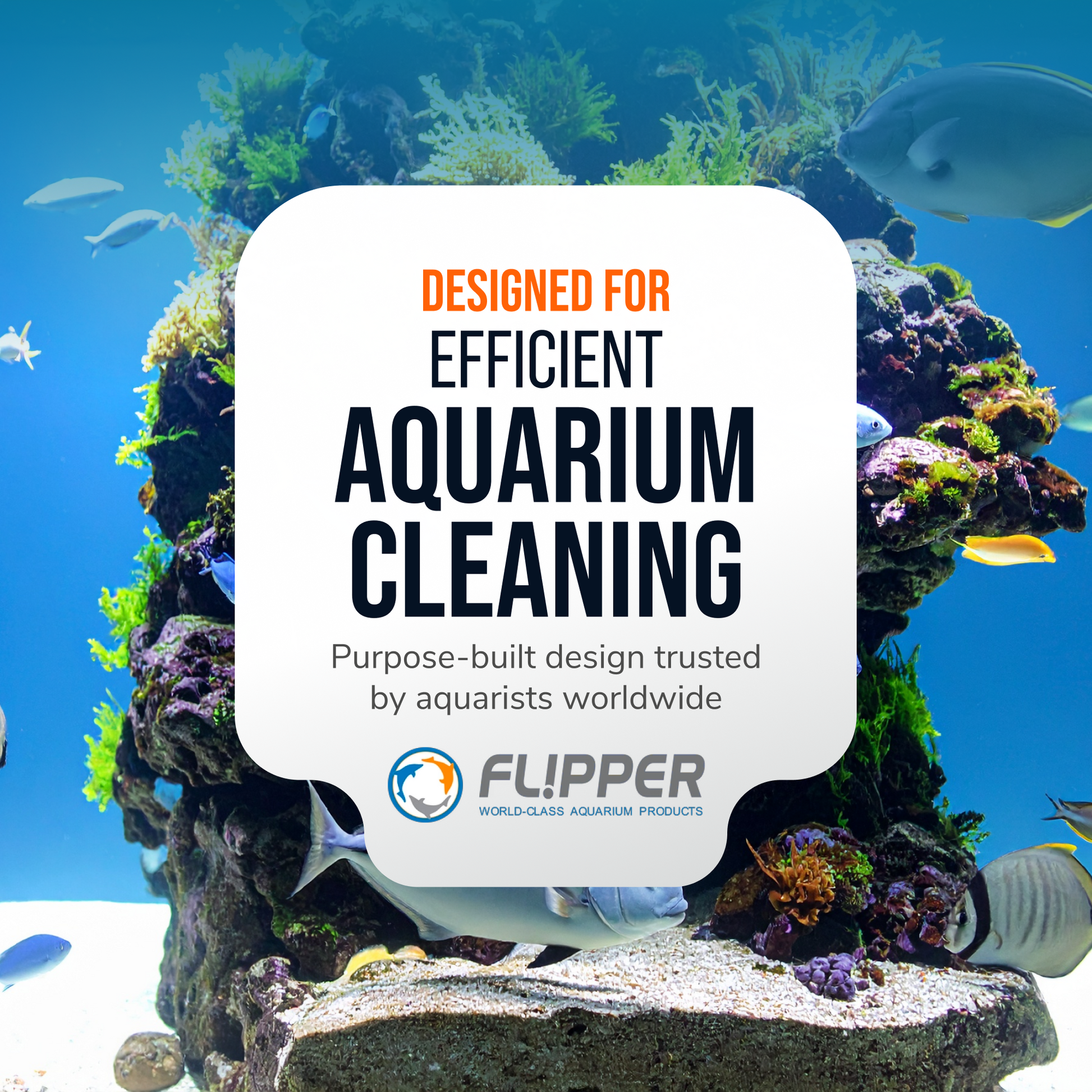 Flipper Platinum NANO Aquarium Algae Scraper 12" Hand Held Scraper Flipper Aquarium Products