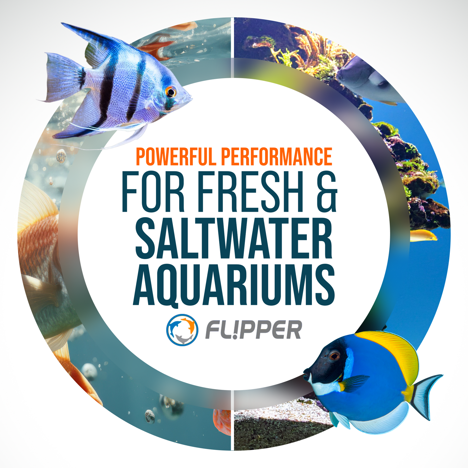 Flipper Nano Aquarium Cleaner Stainless Steel Replacement Blades 2 Pack Replacement Blades Flipper Aquarium Products