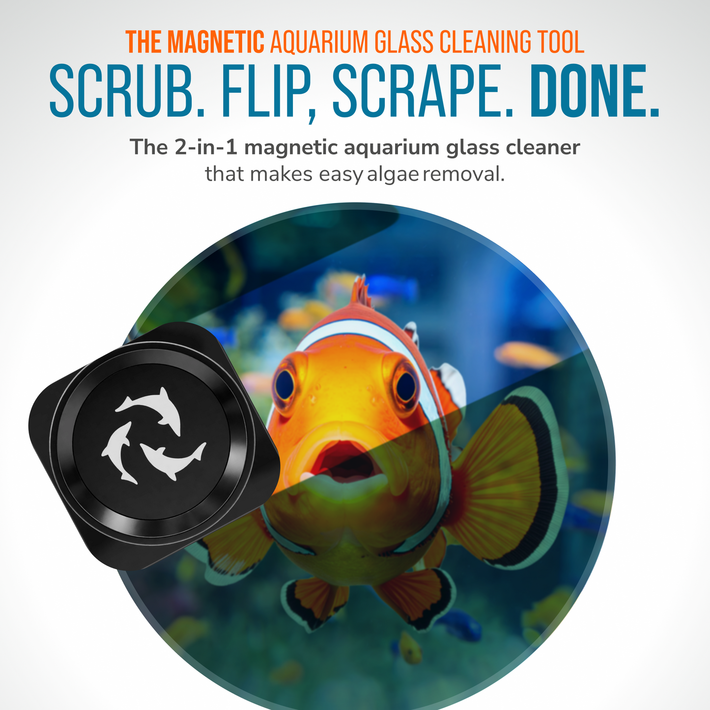 Flipper Pico Black 2-in-1 Aquarium Magnet Cleaner Scrubber Flipper Aquarium Products