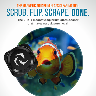 Flipper Pico Black 2-in-1 Aquarium Magnet Cleaner Scrubber Flipper Aquarium Products