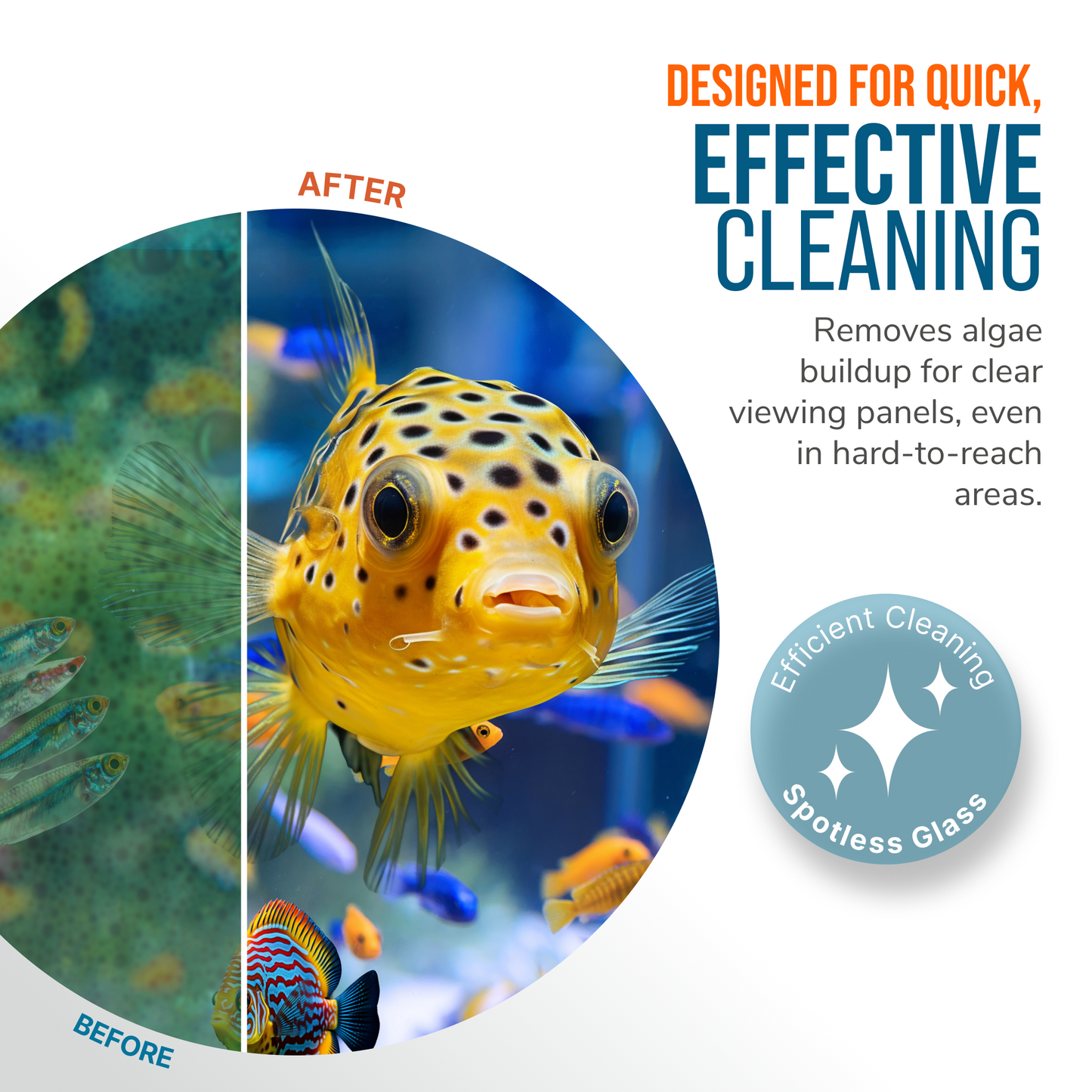 Flipper Pico Black 2-in-1 Aquarium Magnet Cleaner Scrubber Flipper Aquarium Products