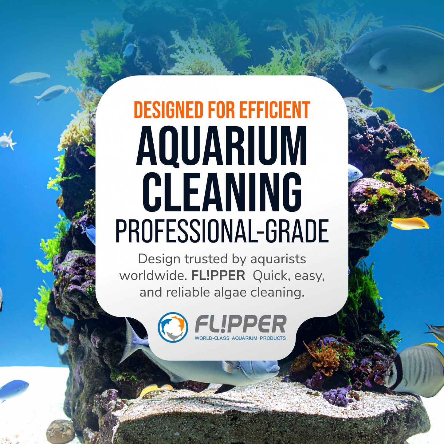 Flipper Pico Black 2-in-1 Aquarium Magnet Cleaner Scrubber Flipper Aquarium Products