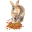 Bun's Rescue Rabbit Bakery Forage Herbs For Rabbits, Guinea Pigs, Hamsters, Chinchillas, & Other Small Animals Dahlia Pets