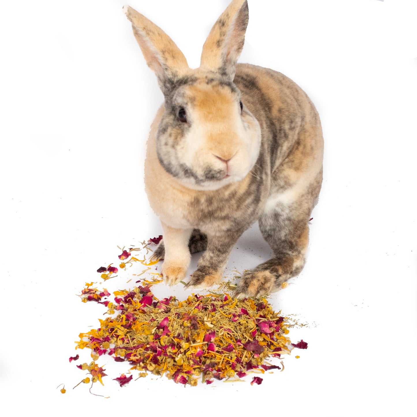 Bun's Rescue Rabbit Bakery Forage Herbs For Rabbits, Guinea Pigs, Hamsters, Chinchillas, & Other Small Animals Dahlia Pets