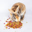 Bun's Rescue Rabbit Bakery Forage Herbs For Rabbits, Guinea Pigs, Hamsters, Chinchillas, & Other Small Animals Dahlia Pets