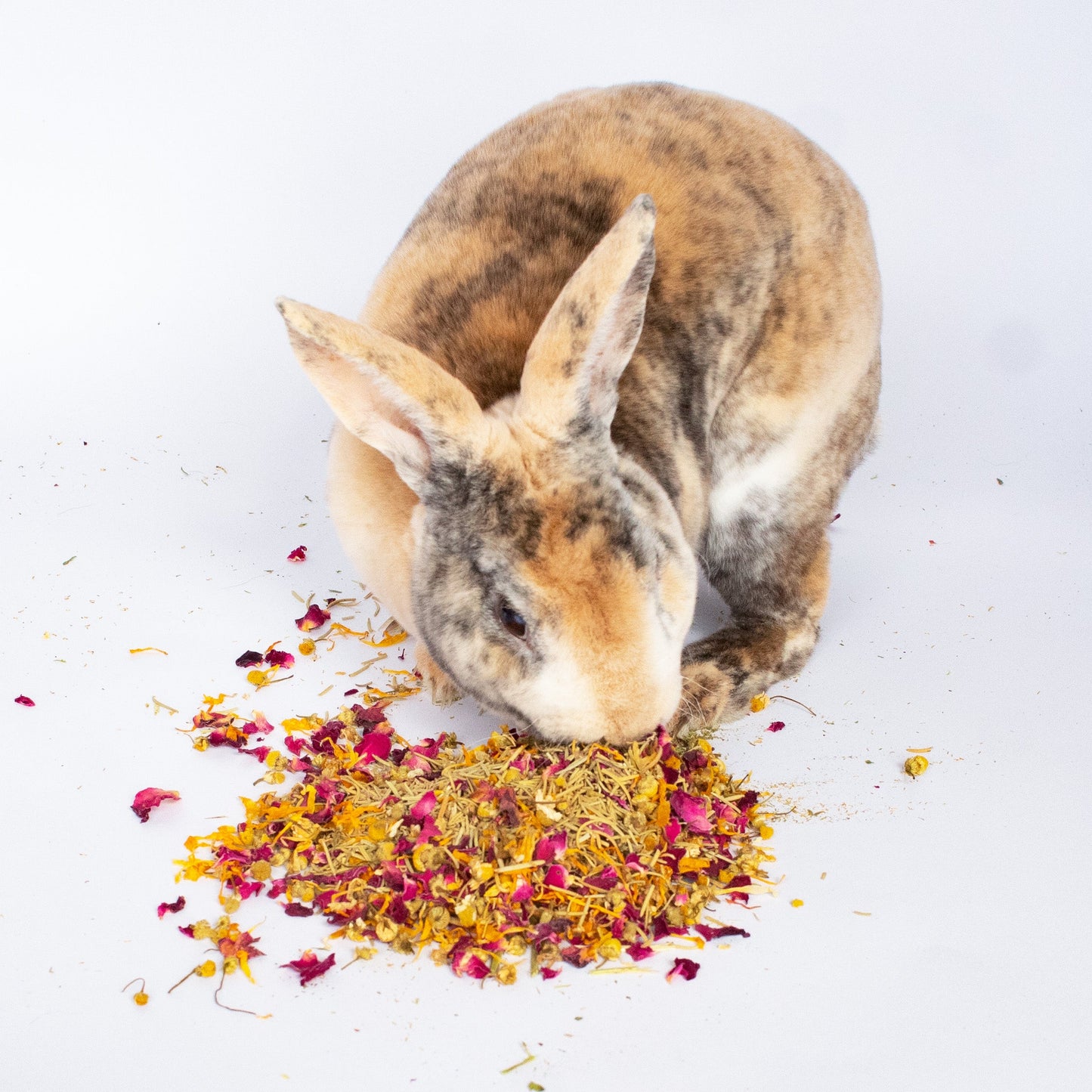 Bun's Rescue Rabbit Bakery Forage Herbs For Rabbits, Guinea Pigs, Hamsters, Chinchillas, & Other Small Animals Dahlia Pets