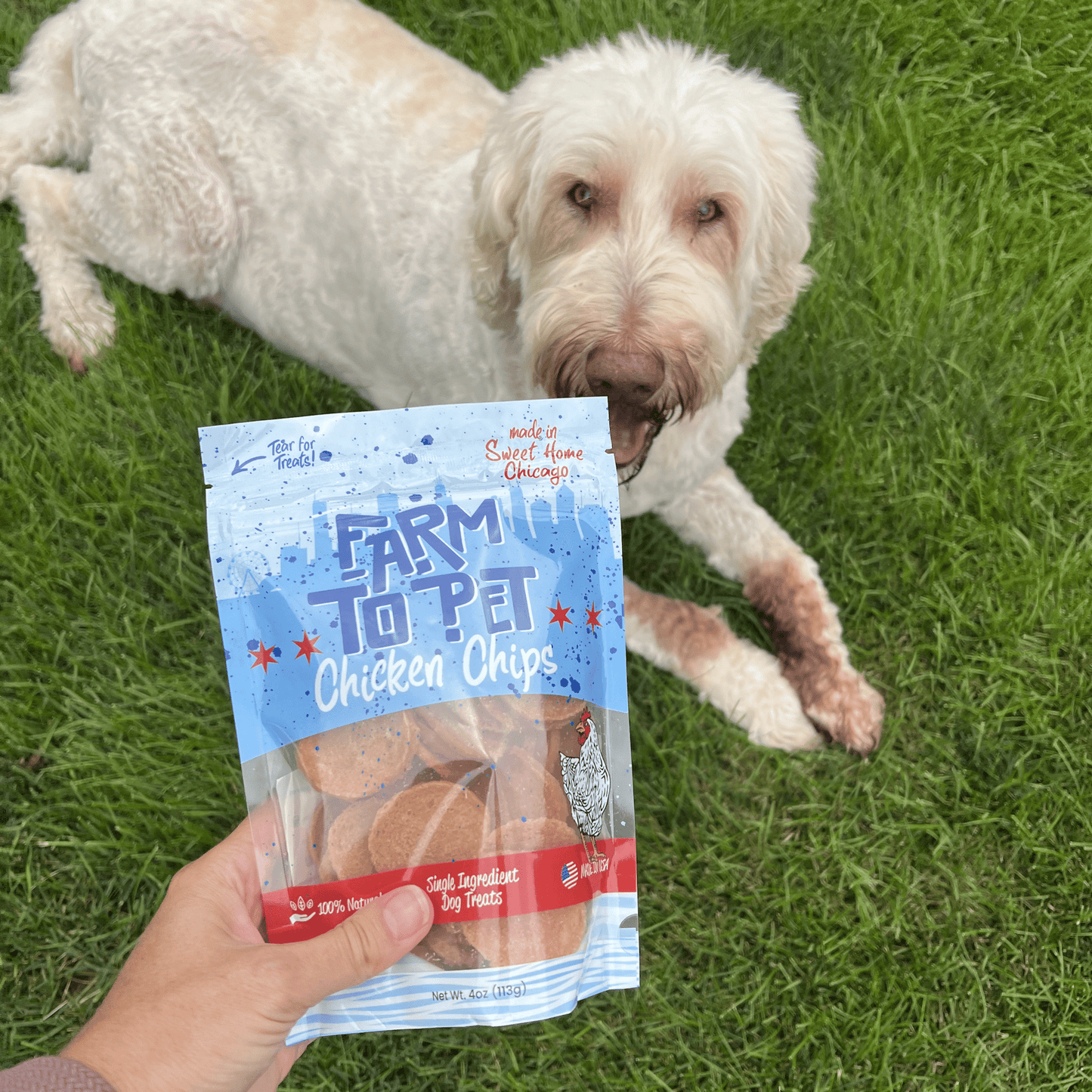 Chicago Chicken Chips for Dogs | Dog Treats To Celebrate Our Hometown Chip Farm To Pet