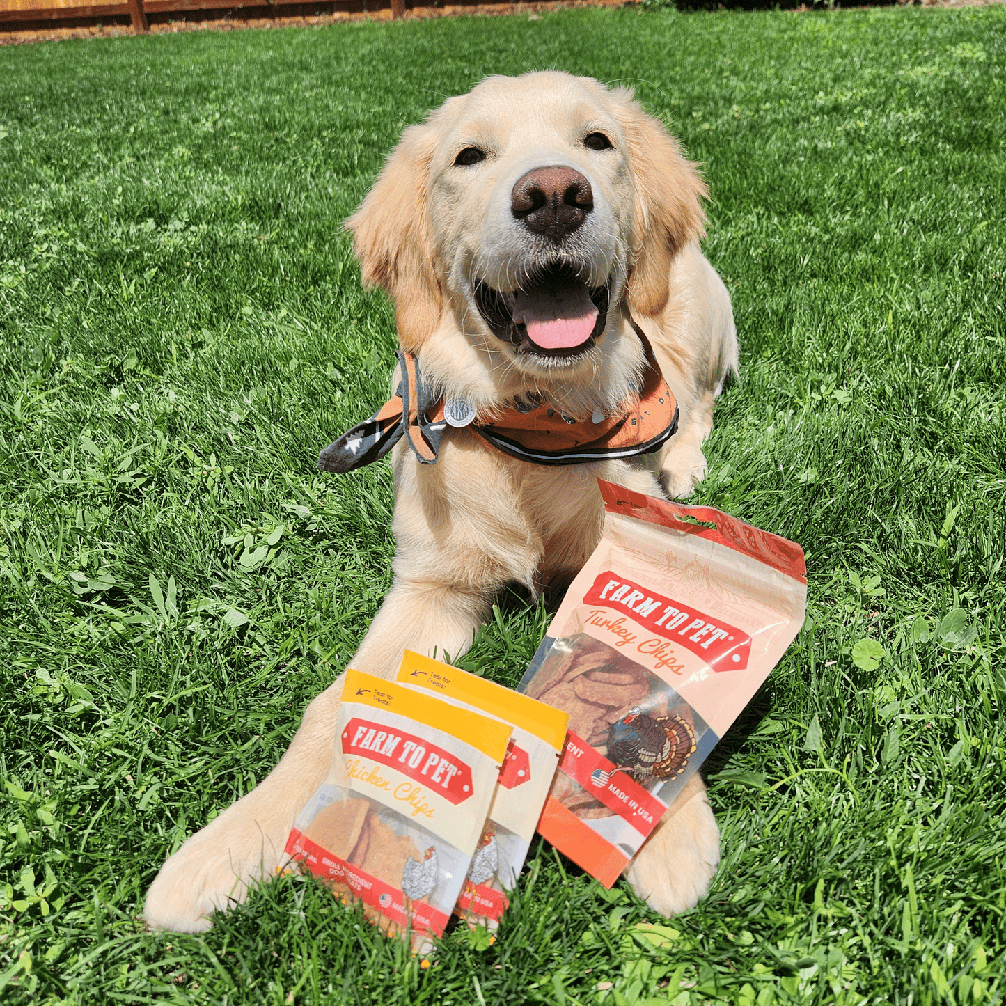 Puppy Packs 'n Snacks Dog Treat Starter Pack | Single-Ingredient Training Treats Bundle Farm To Pet