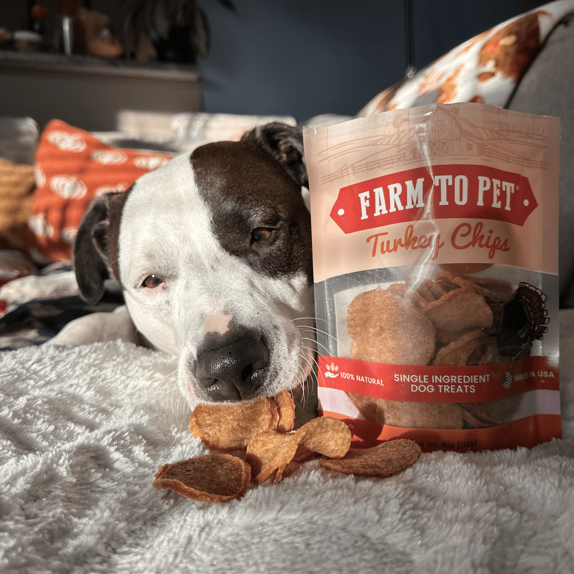 Turkey Chips for Dogs | All-Natural Single-Ingredient Healthy Dog Treats Chip Farm To Pet