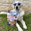 Americana Chicken Chips for Dogs | Celebrate with USA-made Dog Treats Chip Farm To Pet