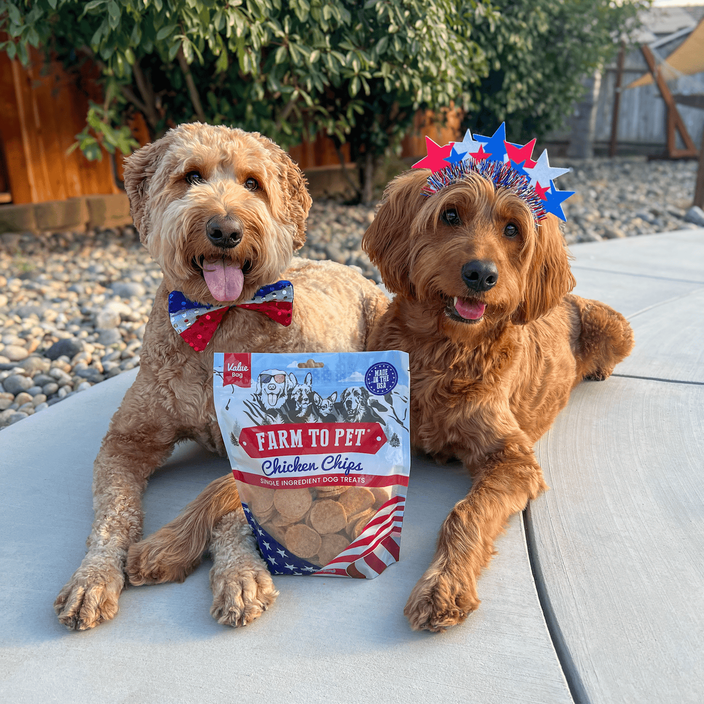 Americana Chicken Chips for Dogs | Celebrate with USA-made Dog Treats Chip Farm To Pet