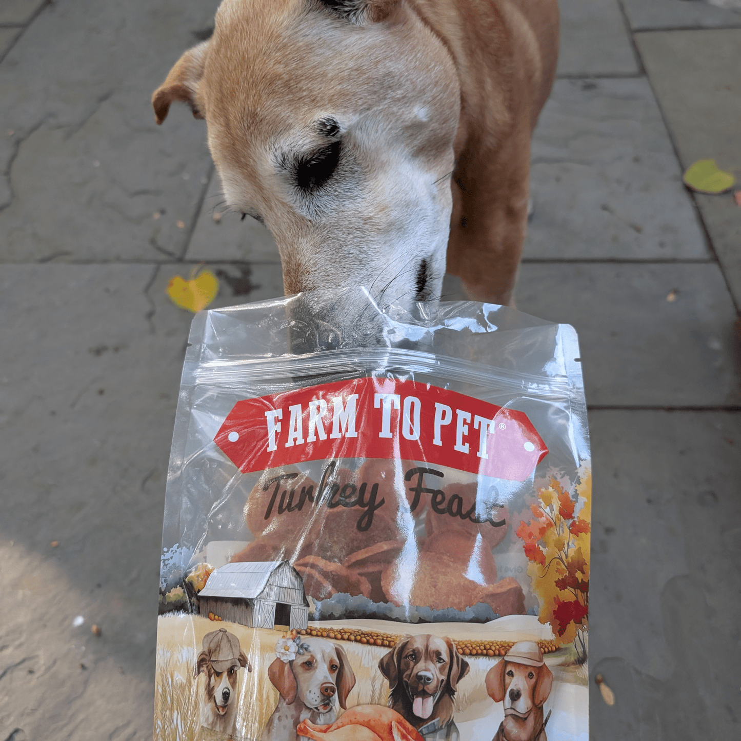 Turkey Feast Chips Chip Farm To Pet