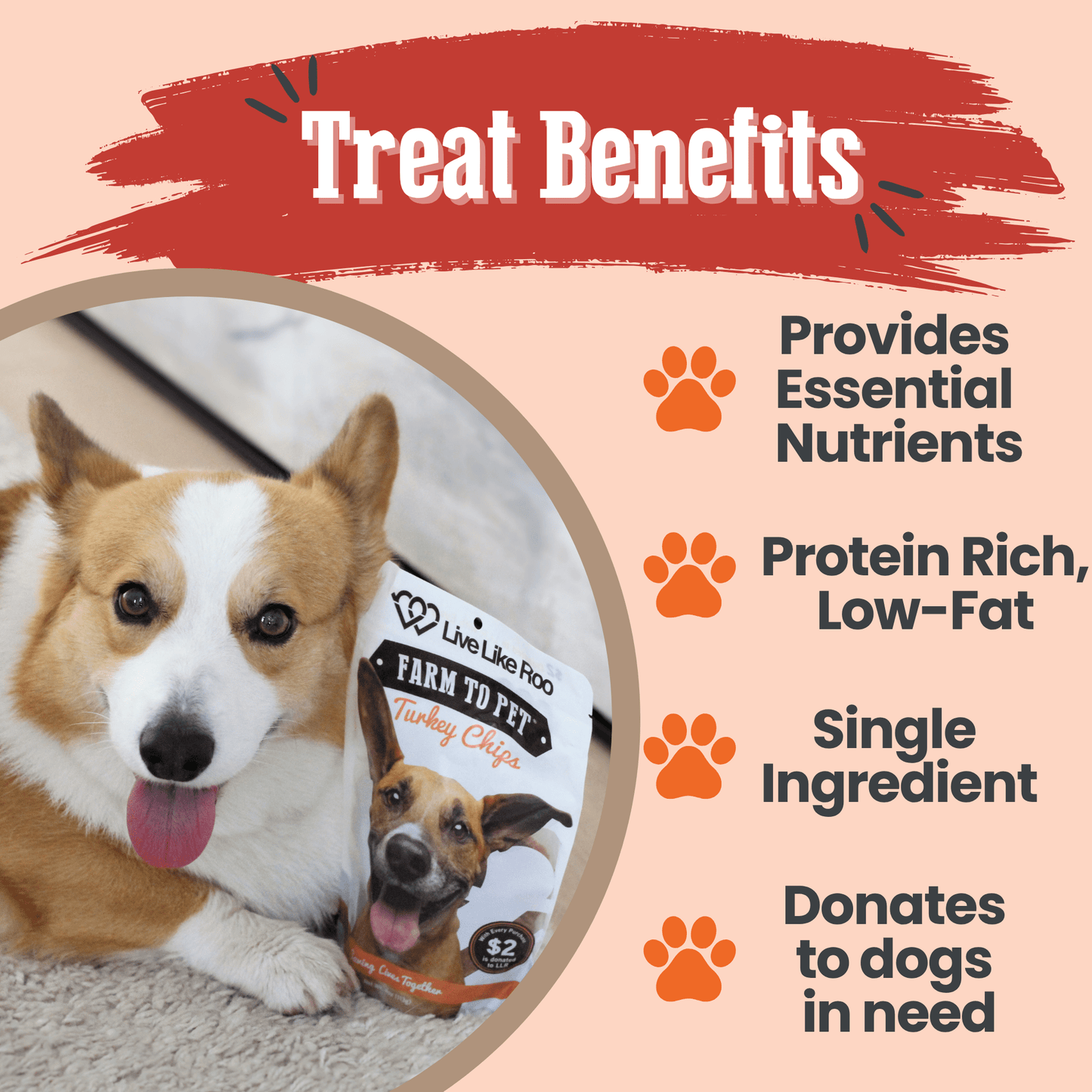 Live Like Roo Turkey Chips for Dogs | Dog Treats That Give Back Chip Farm To Pet