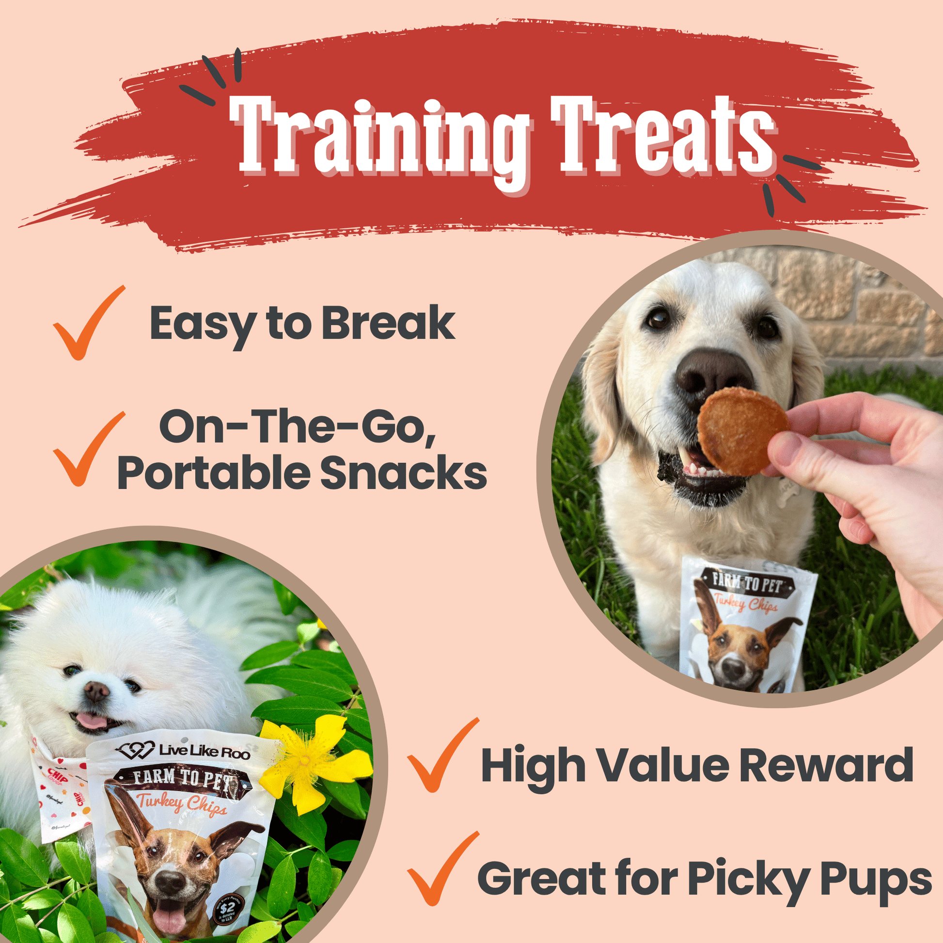 Live Like Roo Turkey Chips for Dogs | Dog Treats That Give Back Chip Farm To Pet