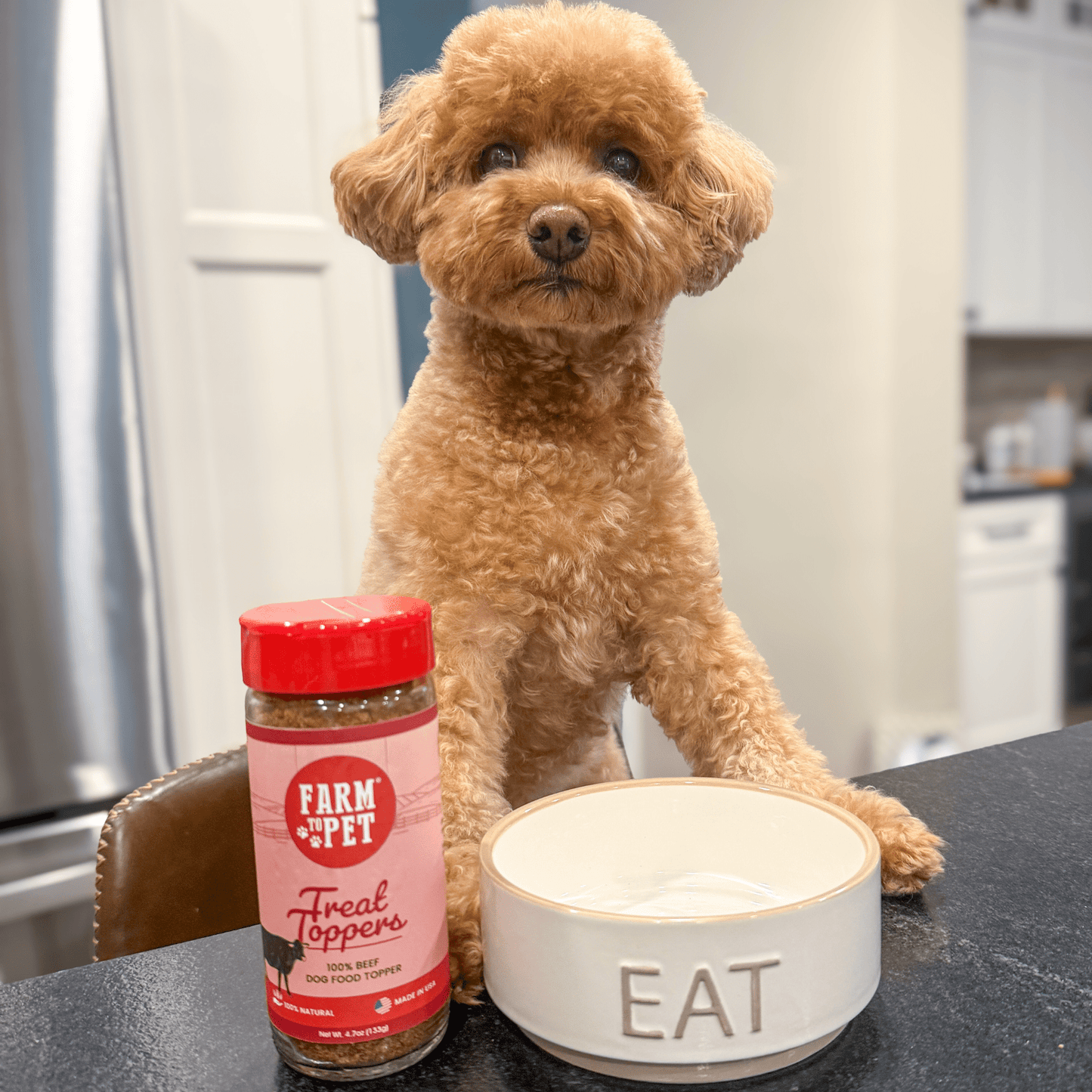 Treat Topper Beef Dog Food Topper | Powdered Meal Topper for Pets Topper Farm To Pet