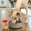 Treat Topper Chicken Dog Food Topper | Healthy Meal Supplement for Dogs Topper Farm To Pet