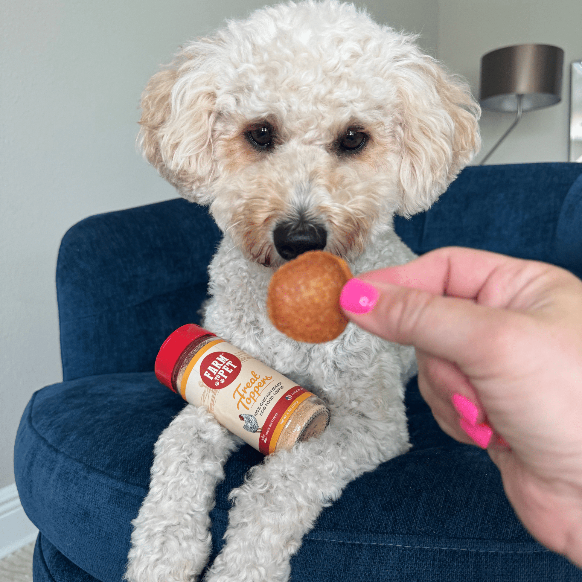 Treat Topper Chicken Dog Food Topper | Healthy Meal Supplement for Dogs Topper Farm To Pet