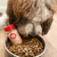 Treat Topper Antler Powder Dog Food Topper | Nutritional Supplement for Dogs and Cats Topper Farm To Pet