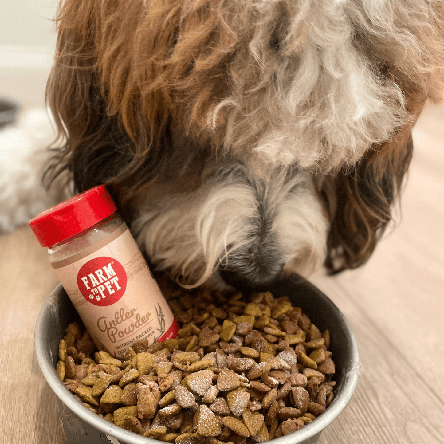 Treat Topper Antler Powder Dog Food Topper | Nutritional Supplement for Dogs and Cats Topper Farm To Pet