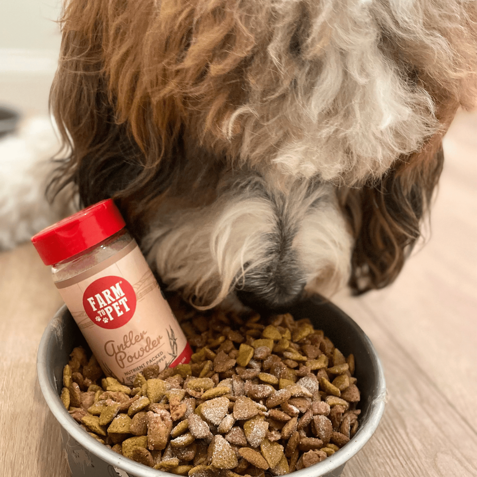 Treat Topper Antler Powder Dog Food Topper | Nutritional Supplement for Dogs and Cats Topper Farm To Pet