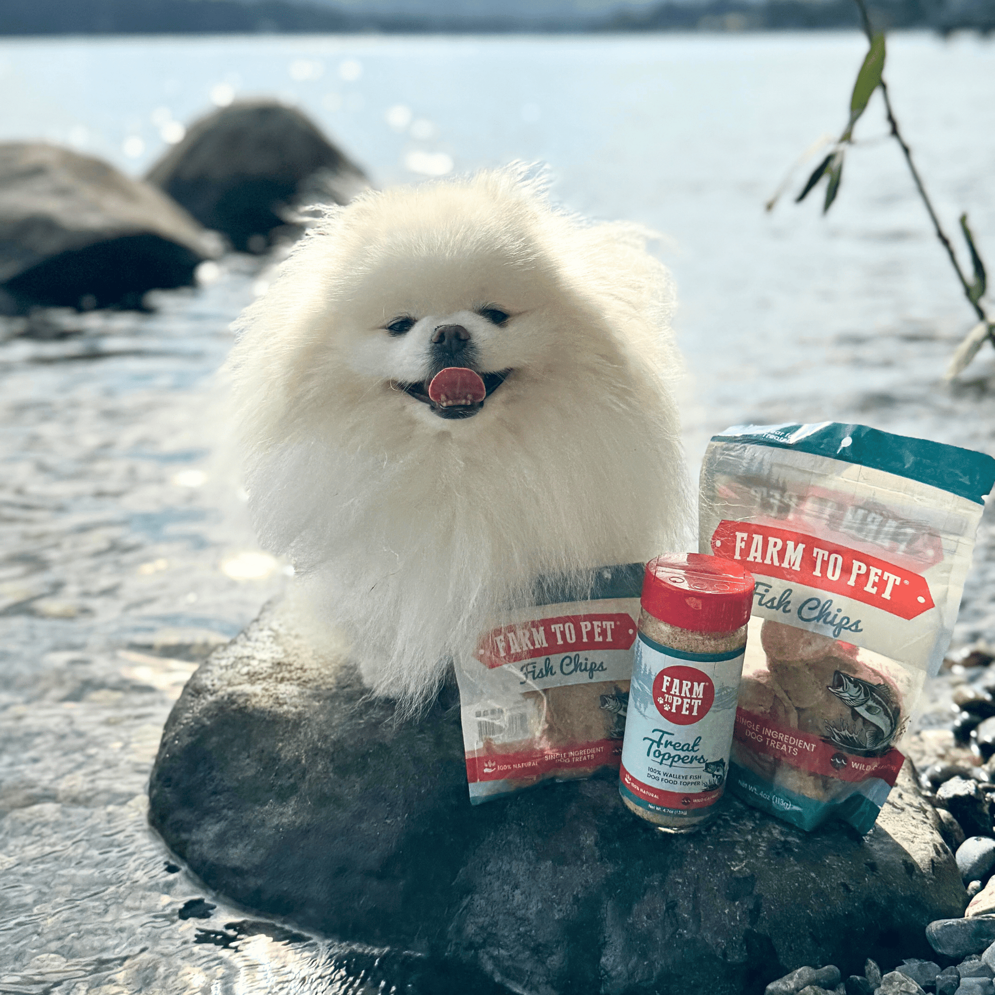 Treat Topper Fish Dog Food Topper | Low-Fat Meal Topper for Pets Topper Farm To Pet