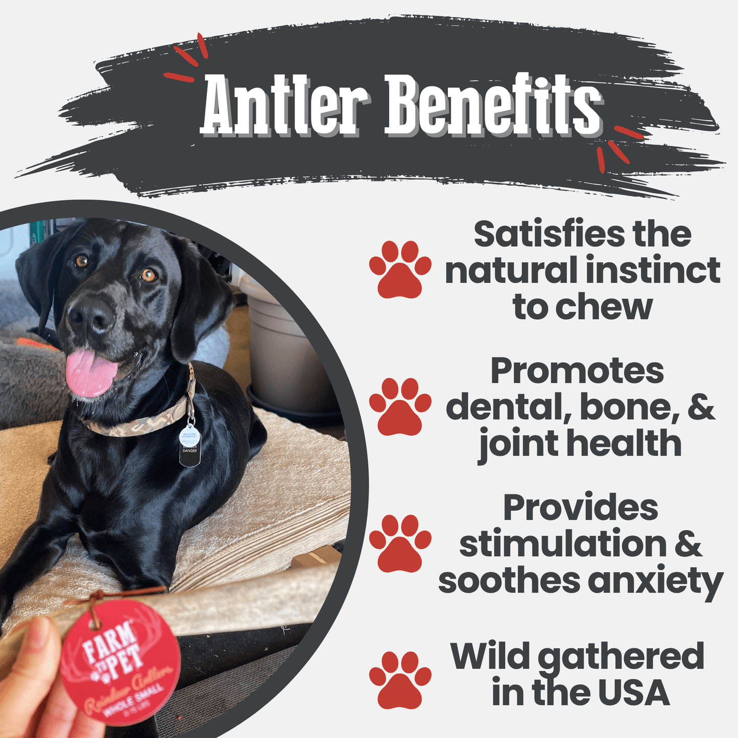 Reindeer Antler Dog Chews | Organic Chews for Dogs Antler Dog Chew Farm To Pet