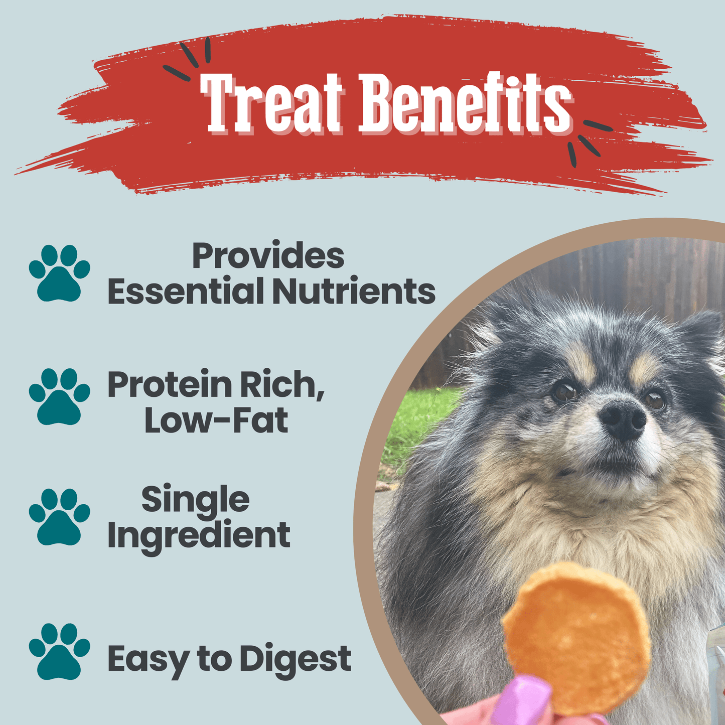 Fish Chips Snack Pack Bundles | Dog Treats for Training & Travel Snack Pack Farm To Pet