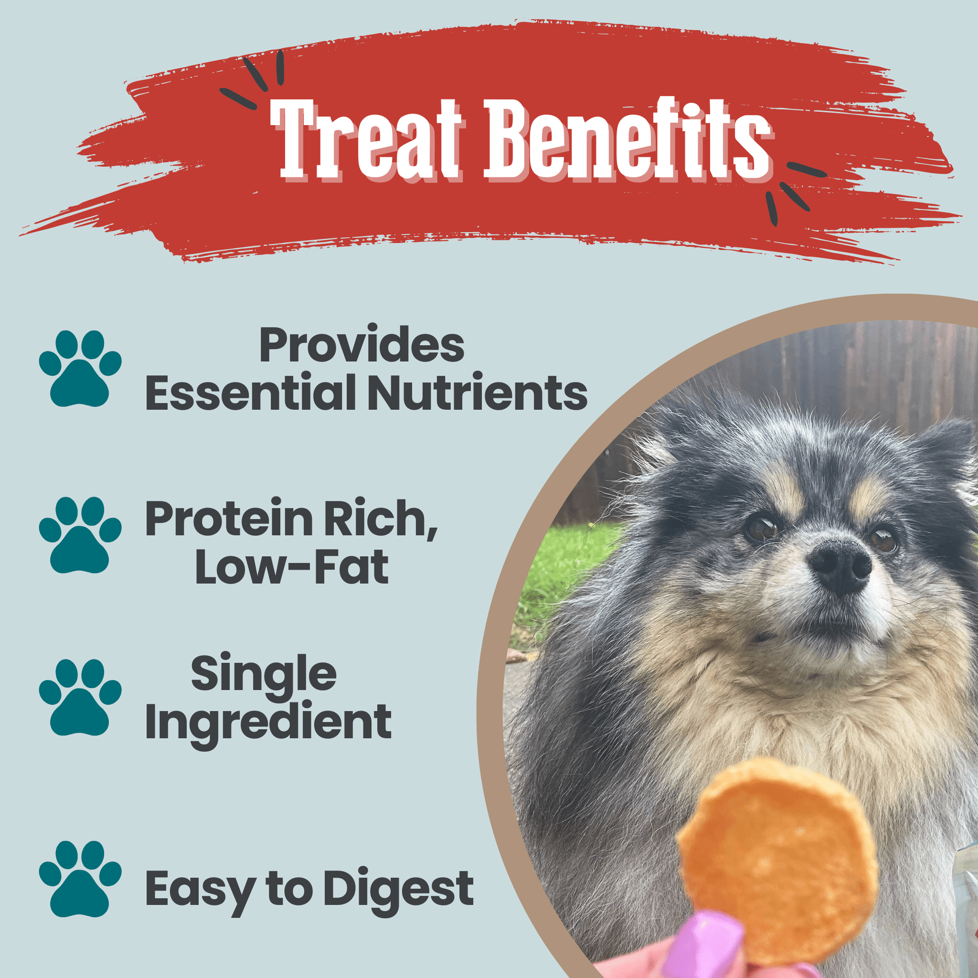 Fish Chips Snack Pack Bundles | Dog Treats for Training & Travel Snack Pack Farm To Pet