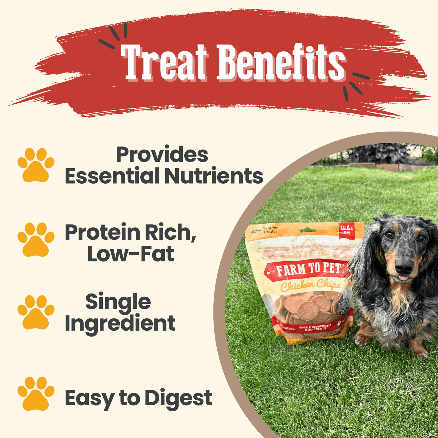 Chicken Chips for Dogs | All-Natural Single-Ingredient Dog Treats Chip Farm To Pet