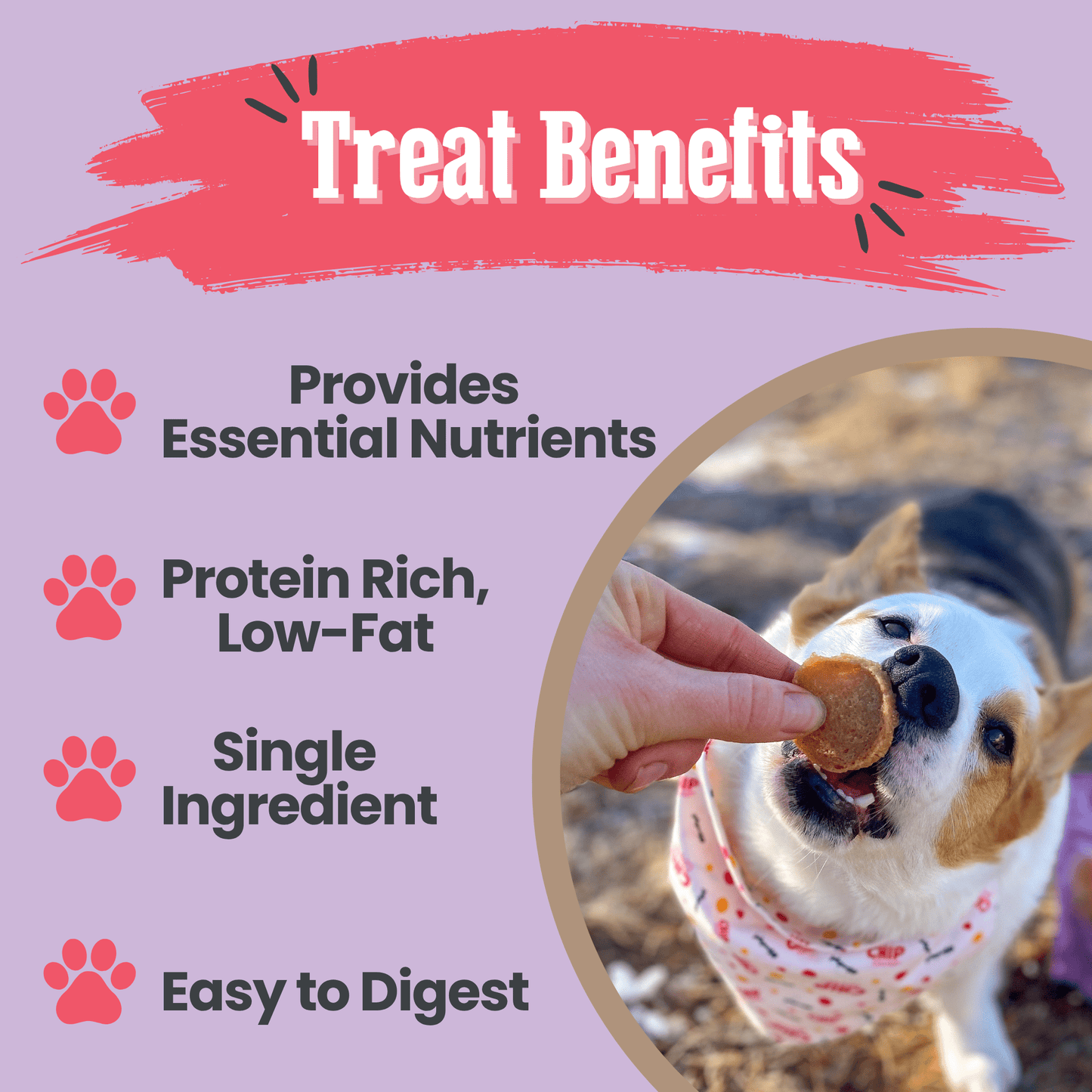 Puppy Love Dog Treat Duo | Poultry Chip Variety Pack Chip Farm To Pet