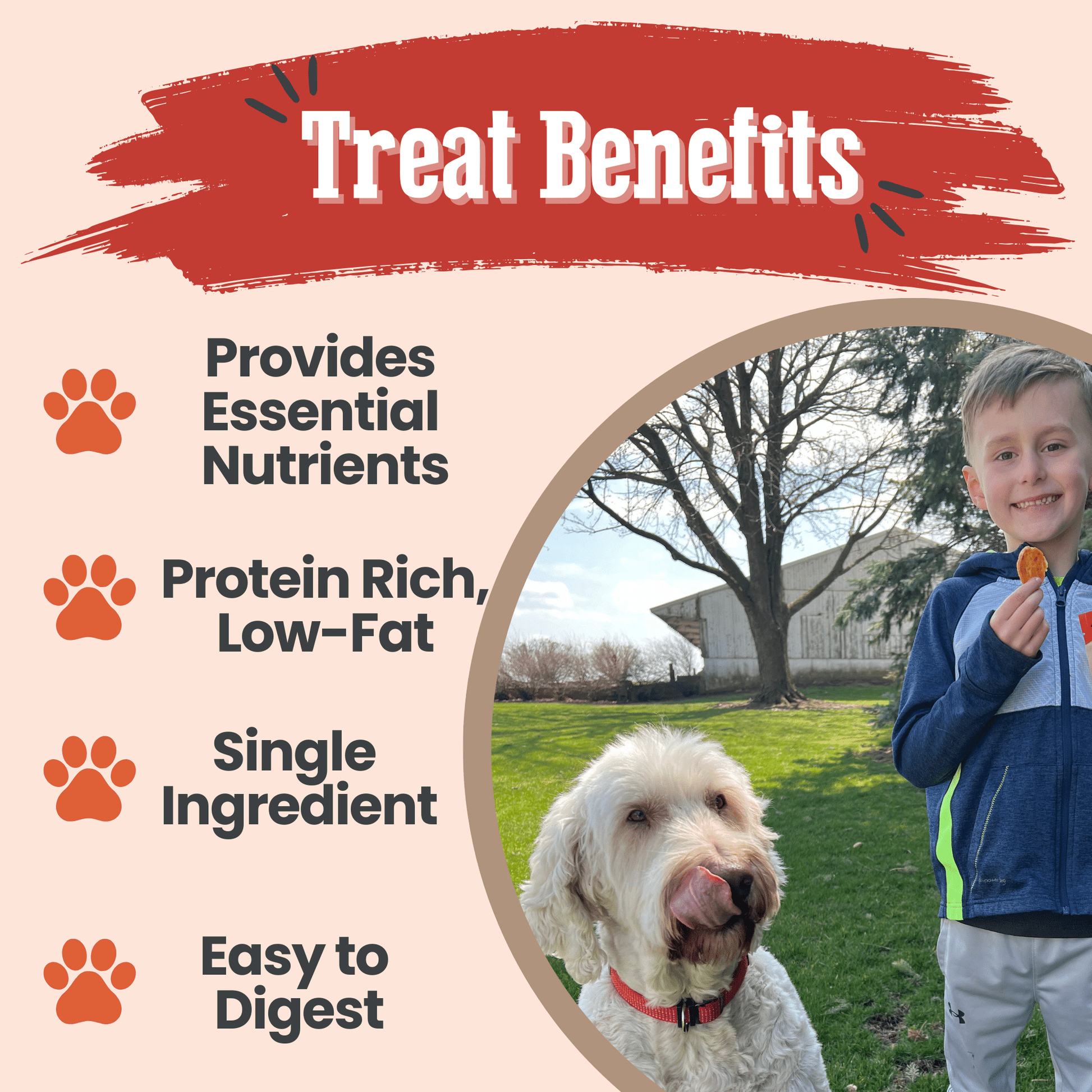 Turkey Chips for Dogs | All-Natural Single-Ingredient Healthy Dog Treats Chip Farm To Pet