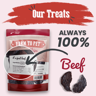Beef Chips Dog Treats | Single-Ingredient Healthy Treats for Dogs Chip Farm To Pet