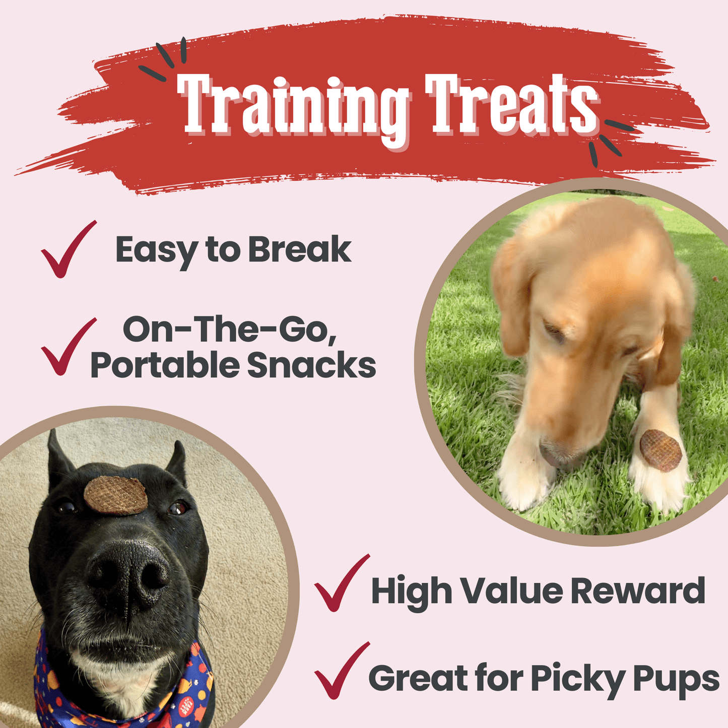 Beef Chips Dog Treats | Single-Ingredient Healthy Treats for Dogs Chip Farm To Pet