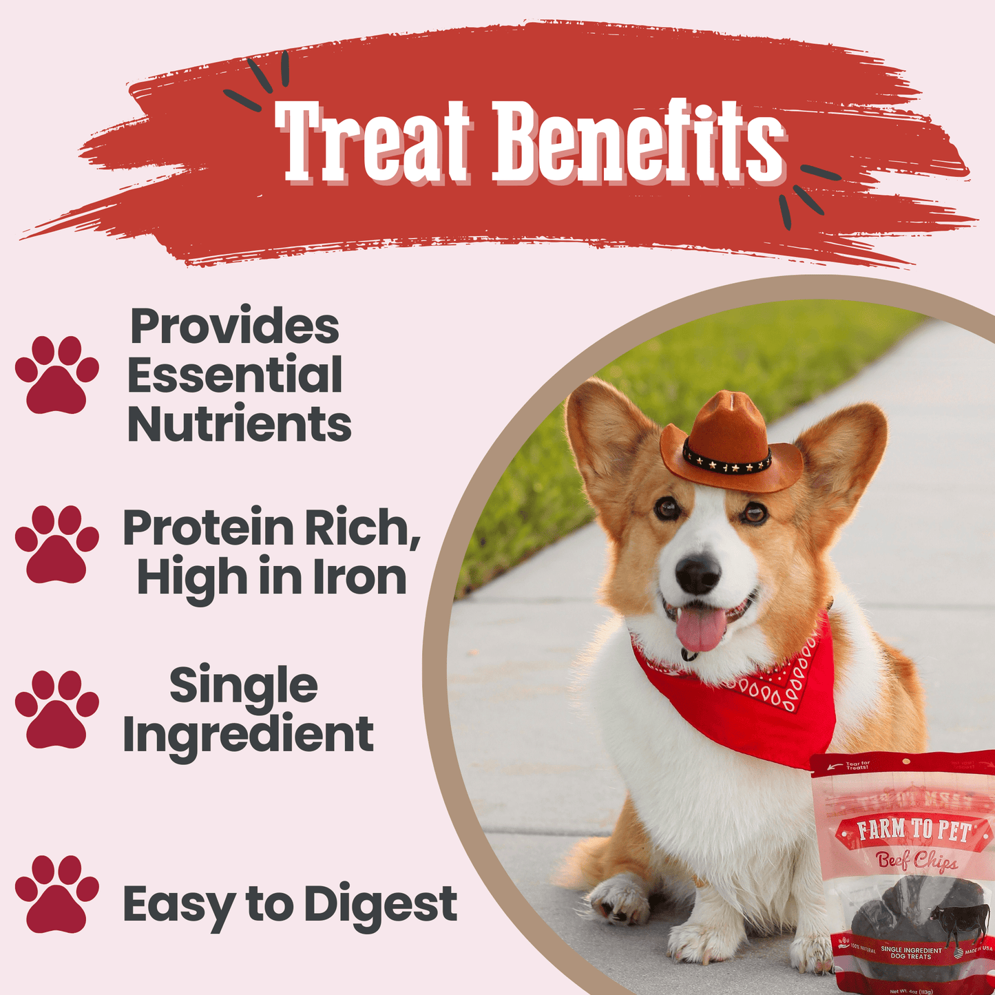 Beef Chips Dog Treats | Single-Ingredient Healthy Treats for Dogs Chip Farm To Pet