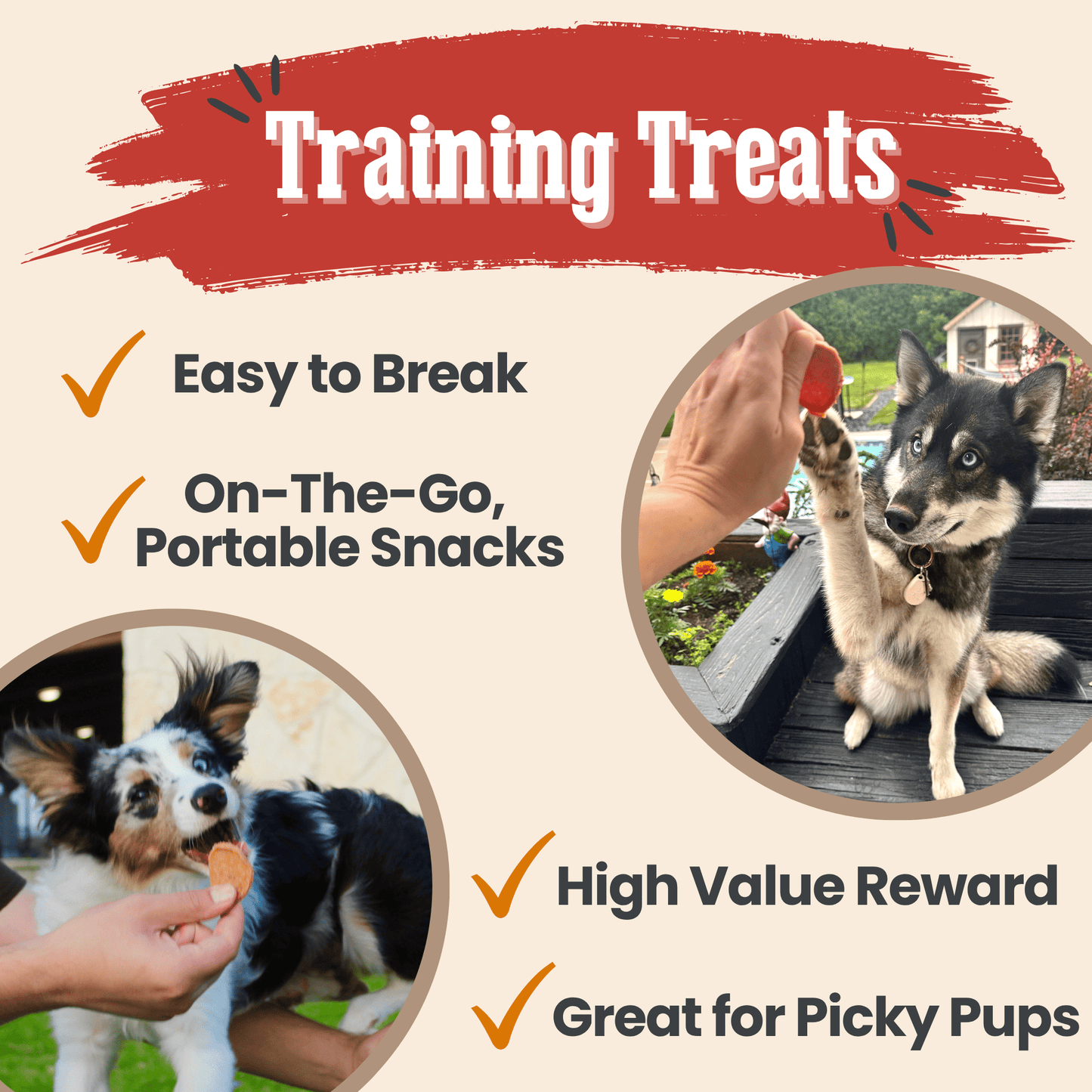 Turkey & Chicken Chip Dog Treat Duo | Single-Ingredient Poultry Treats for Dogs Chip Farm To Pet