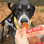 Turkey Chips Snack Pack Bundles | Low Allergen Treats for Training Snack Pack Farm To Pet