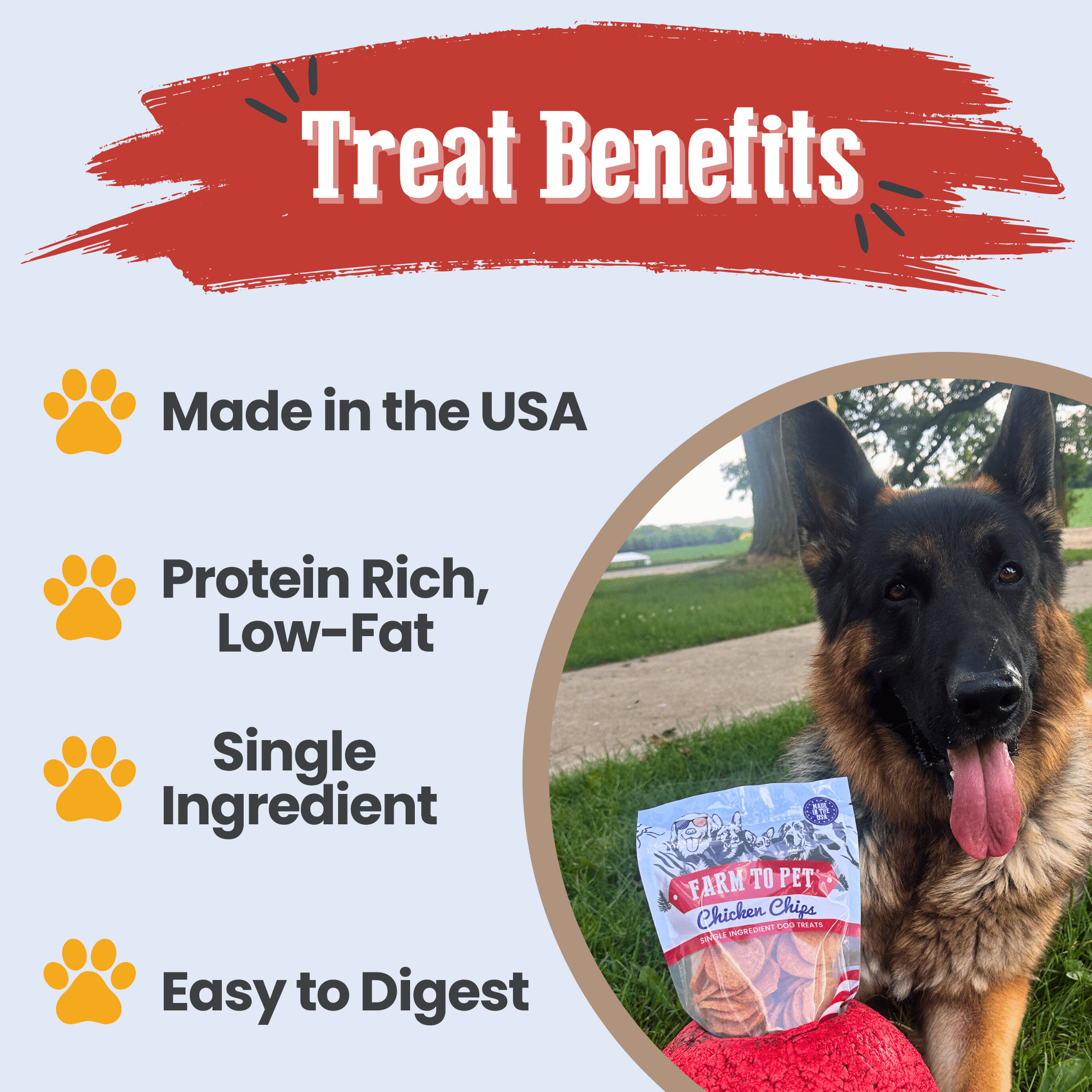 Americana Chicken Chips for Dogs | Celebrate with USA-made Dog Treats Chip Farm To Pet