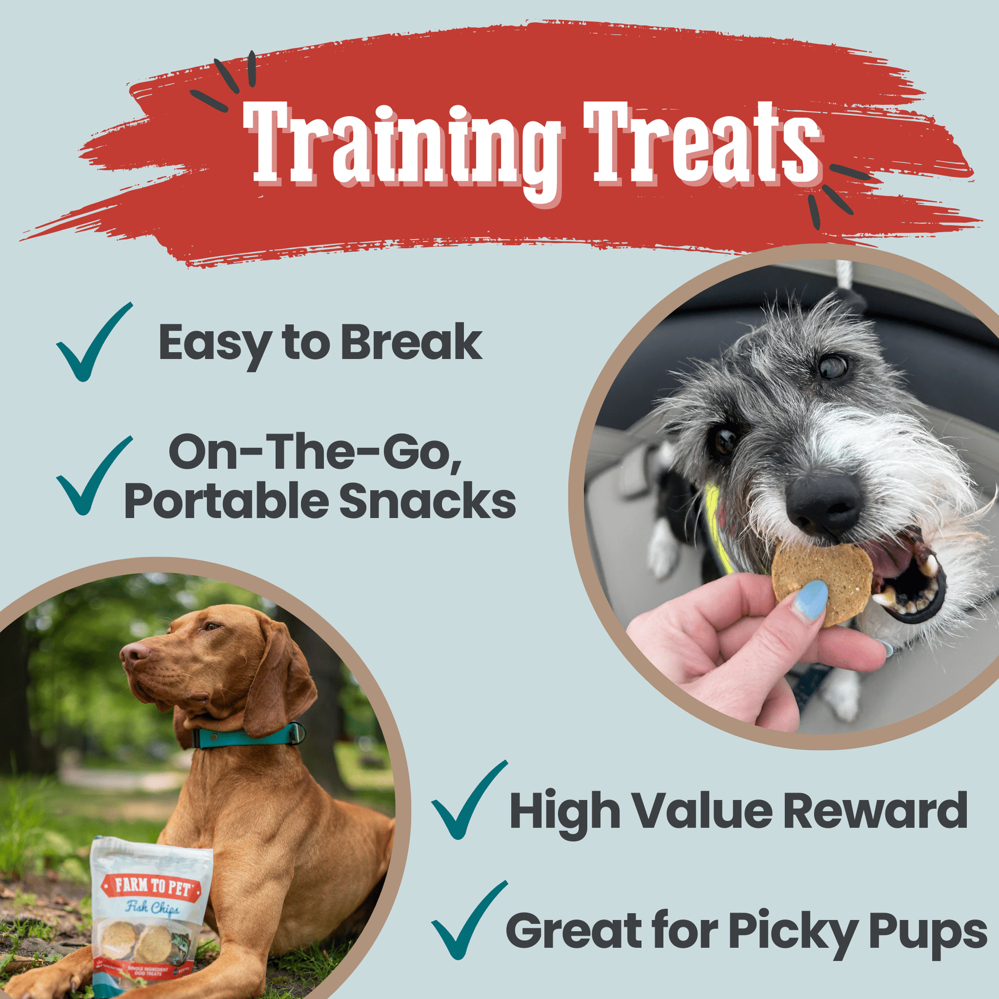 Fish Chips for Dogs | Wild-Caught Fish Dog Treats Chip Farm To Pet