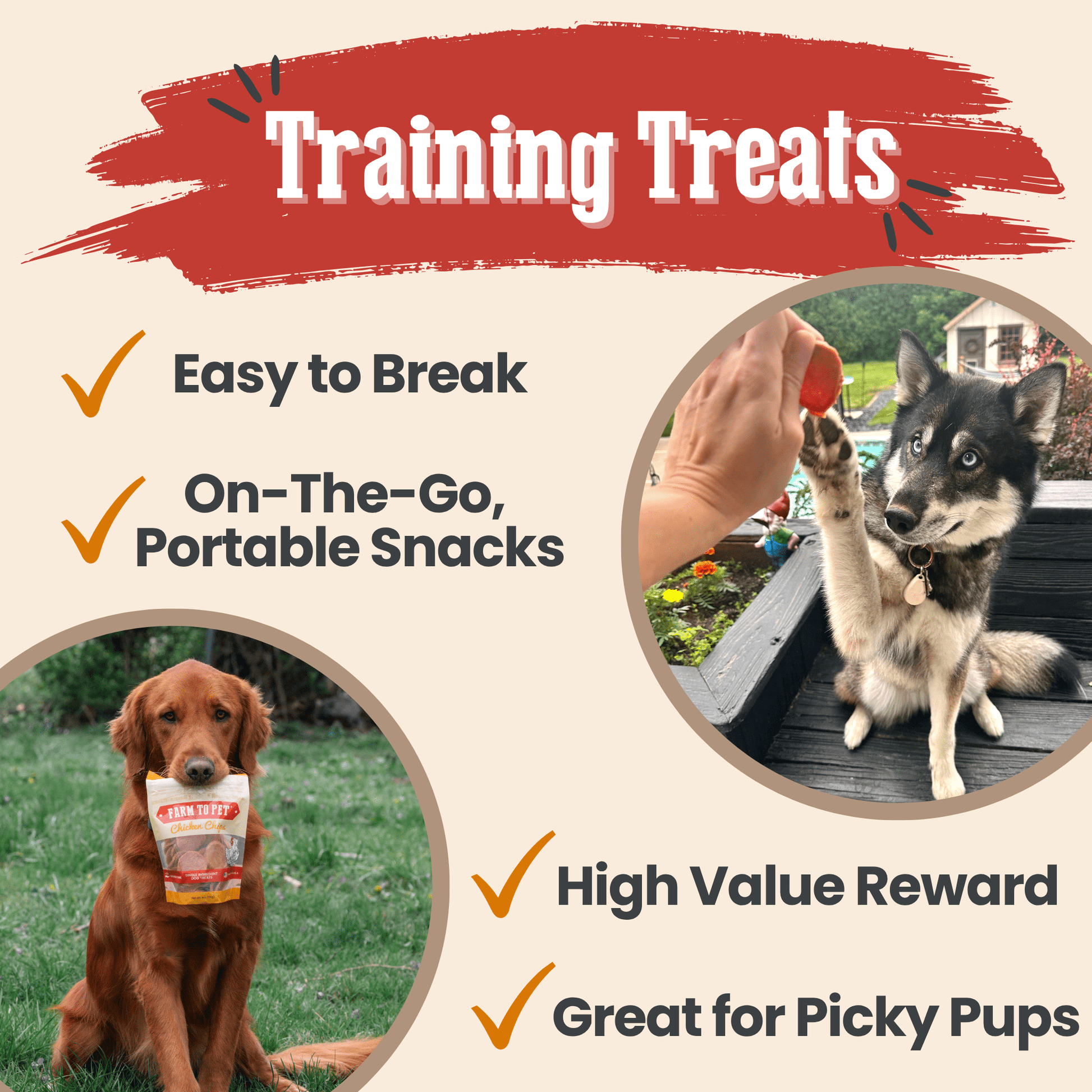 Turkey & Chicken Chip Dog Treat Duo | Single-Ingredient Poultry Treats for Dogs Chip Farm To Pet