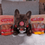 Turkey & Chicken Chip Dog Treat Duo | Single-Ingredient Poultry Treats for Dogs Chip Farm To Pet