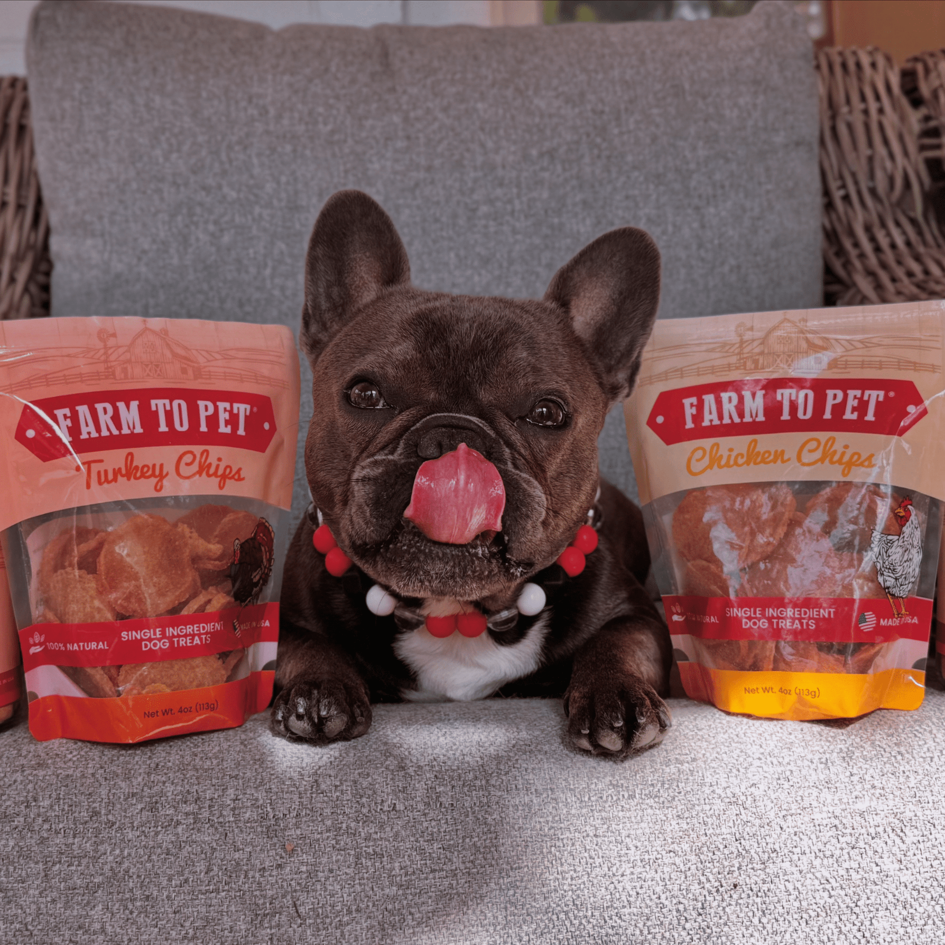 Turkey & Chicken Chip Dog Treat Duo | Single-Ingredient Poultry Treats for Dogs Chip Farm To Pet
