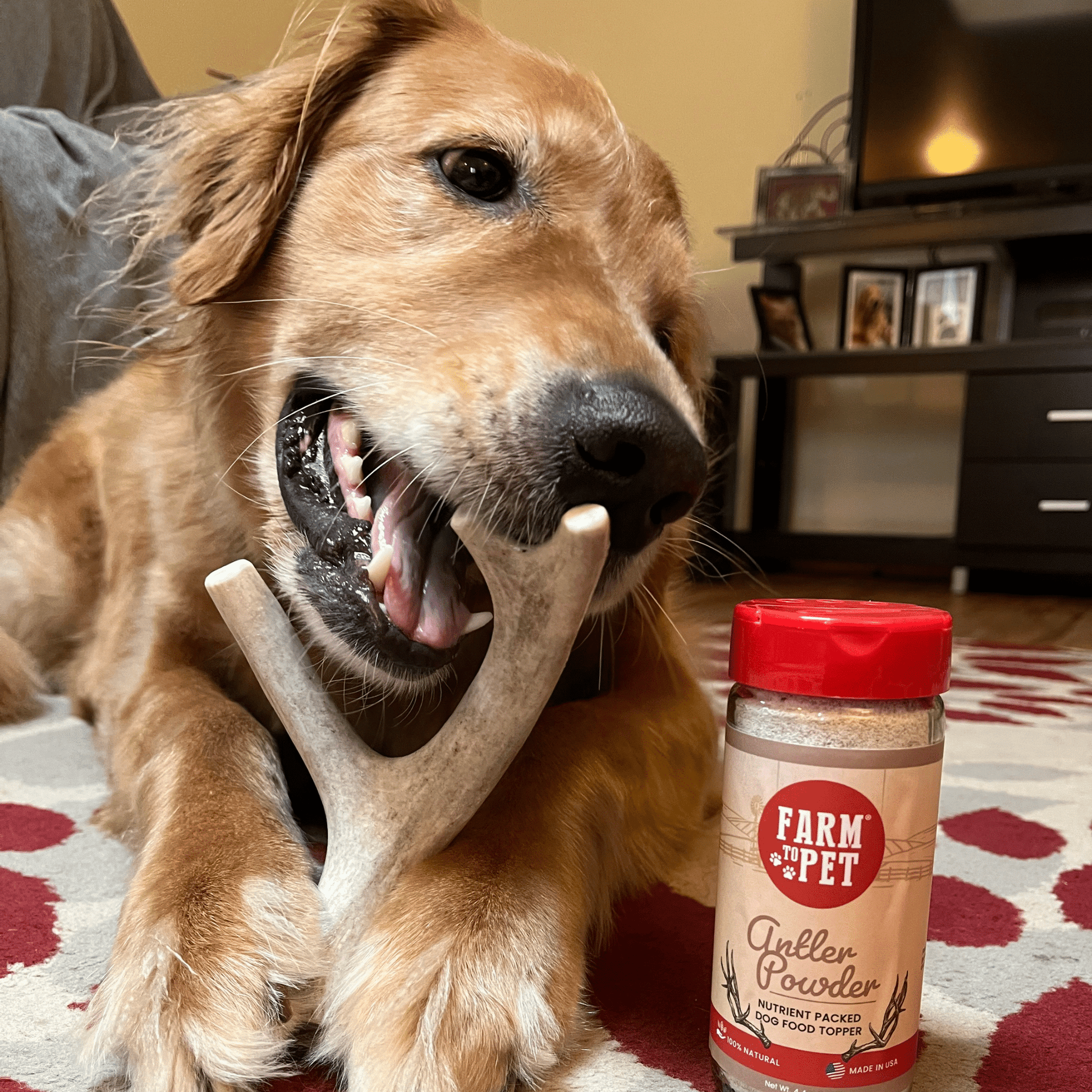 Deer Antler Dog Chews | Organic Chews for Dogs Antler Dog Chew Farm To Pet