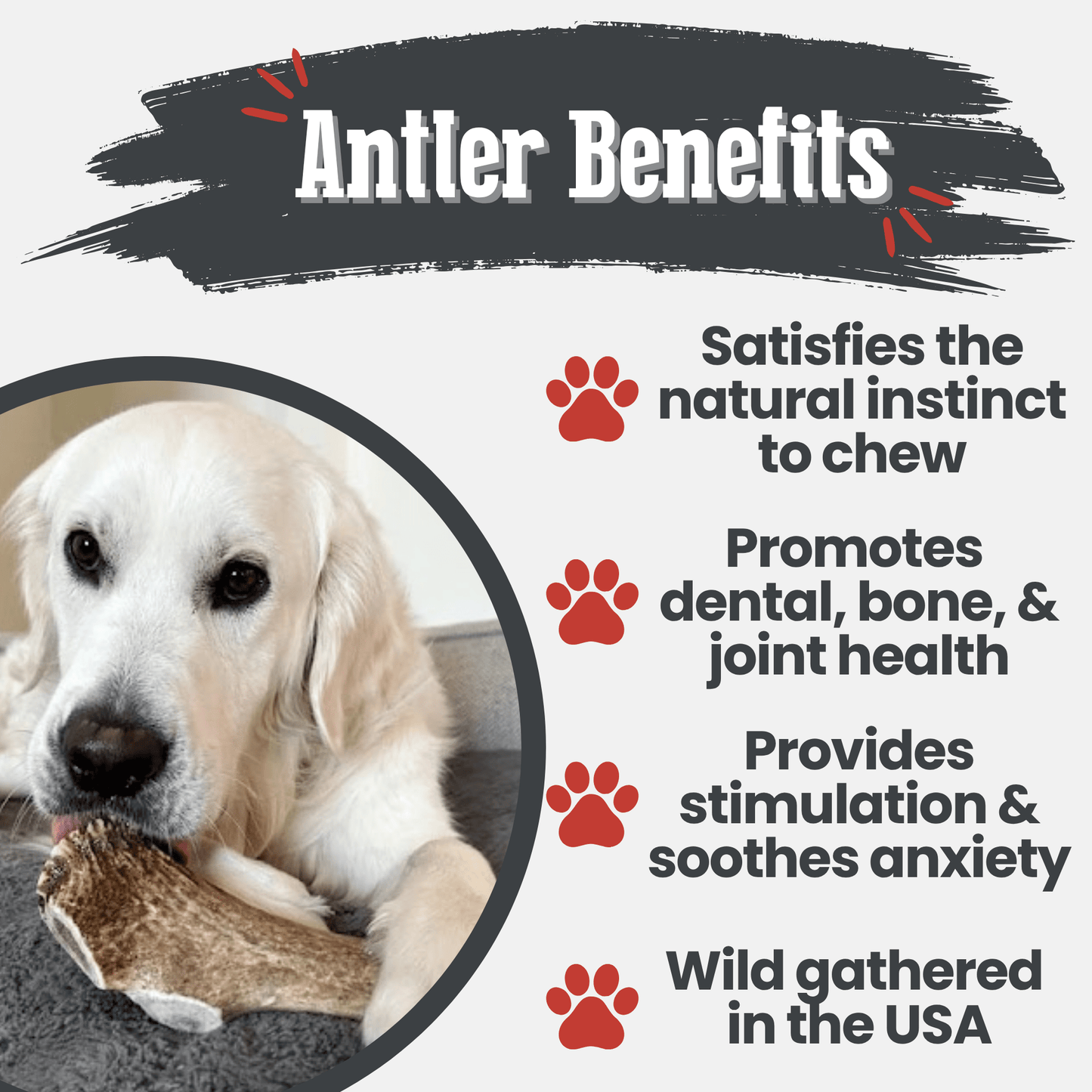 Elk Antler Dog Chews | All-Natural Whole and Split Elk Antler Chews for Dogs Antler Dog Chew Farm To Pet