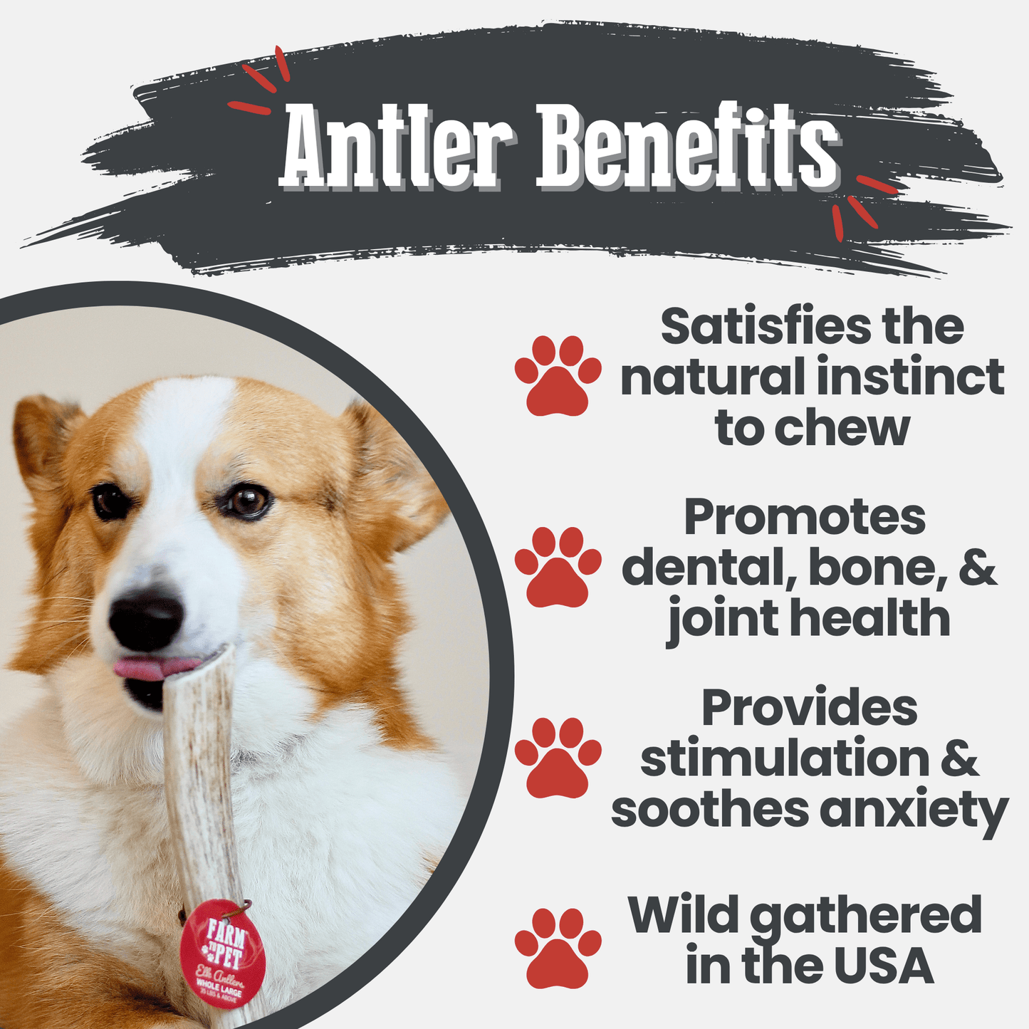 Elk Antler Dog Chews | All-Natural Whole and Split Elk Antler Chews for Dogs Antler Dog Chew Farm To Pet