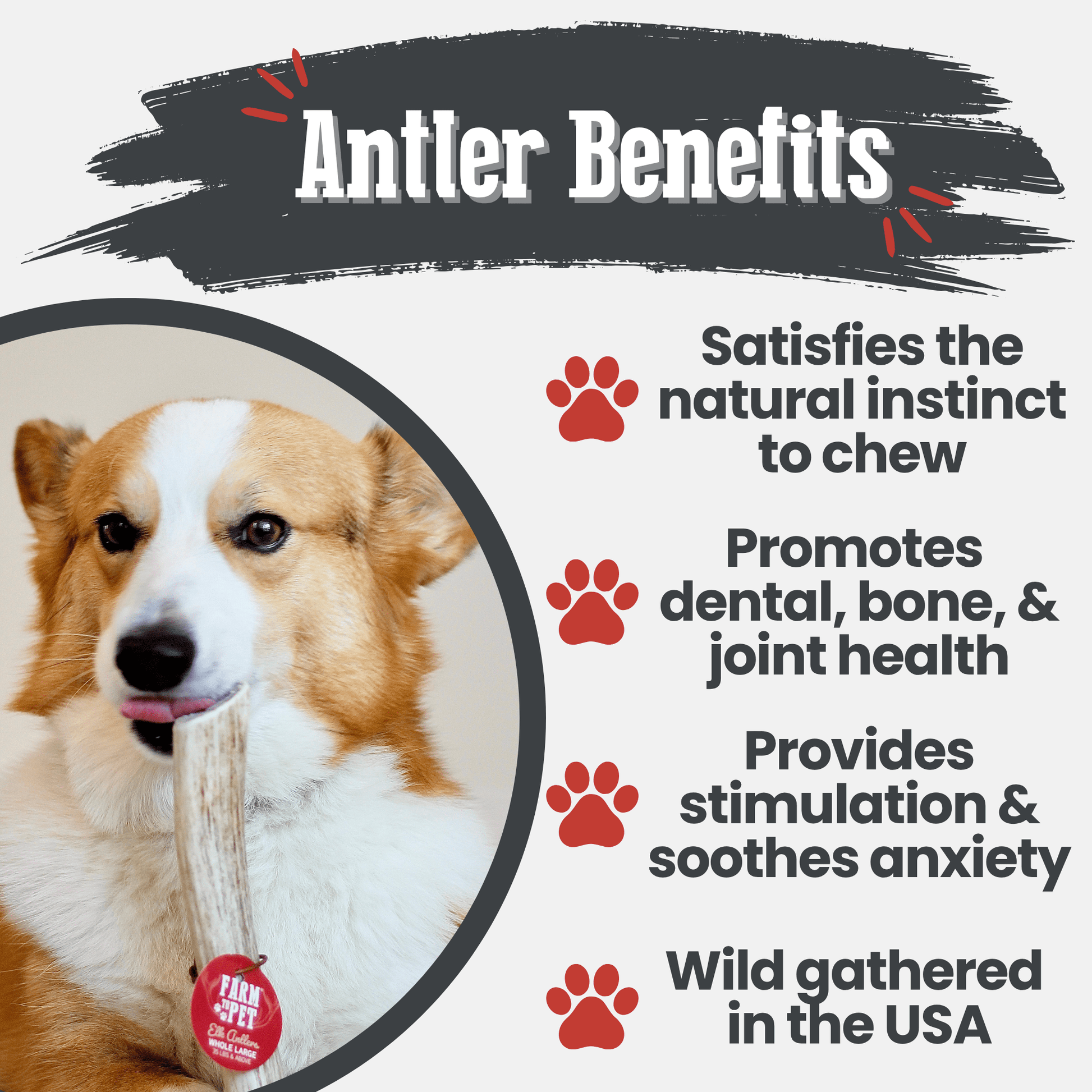 Elk Antler Dog Chews | All-Natural Whole and Split Elk Antler Chews for Dogs Antler Dog Chew Farm To Pet
